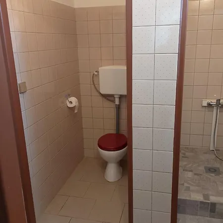 - Močidlec *